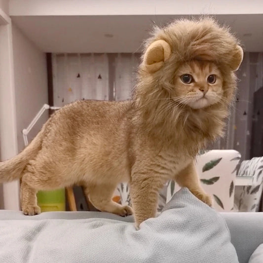 Pet Hairpiece - Humorous Lion Mane Headgear for Dogs and Cats