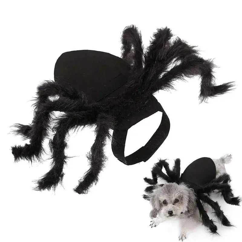 Halloween Pet Spider Costume