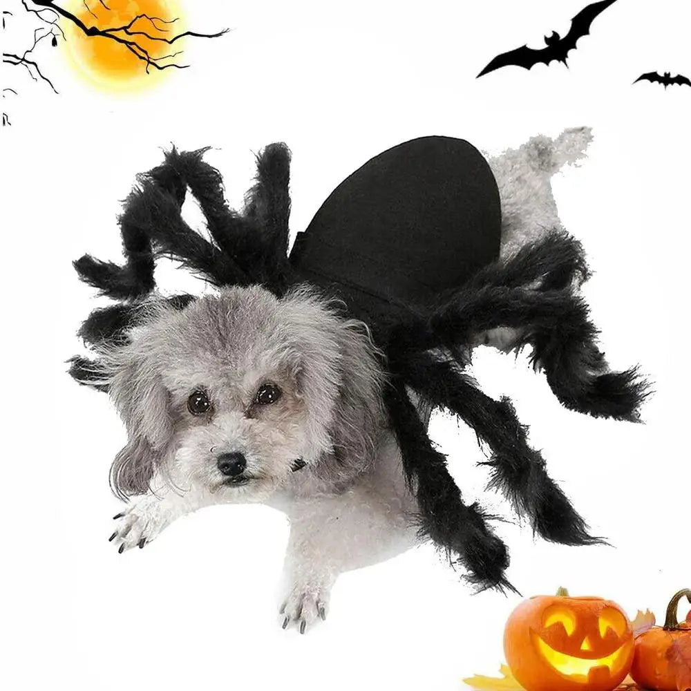 Halloween Pet Spider Costume