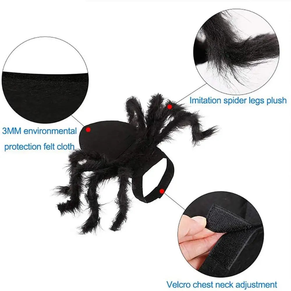 Halloween Pet Spider Costume