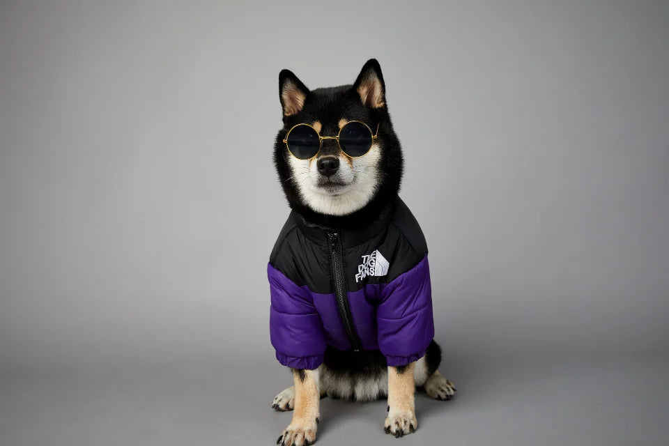 The Dog Fans Winter Pet Dog Down Jacket