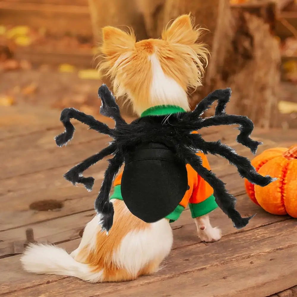 Halloween Pet Spider Costume