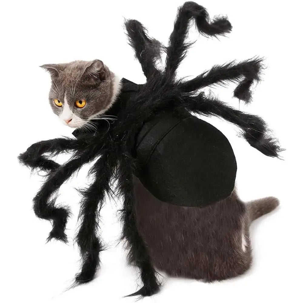 Halloween Pet Spider Costume